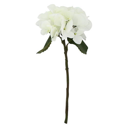 Hydrangea White Small