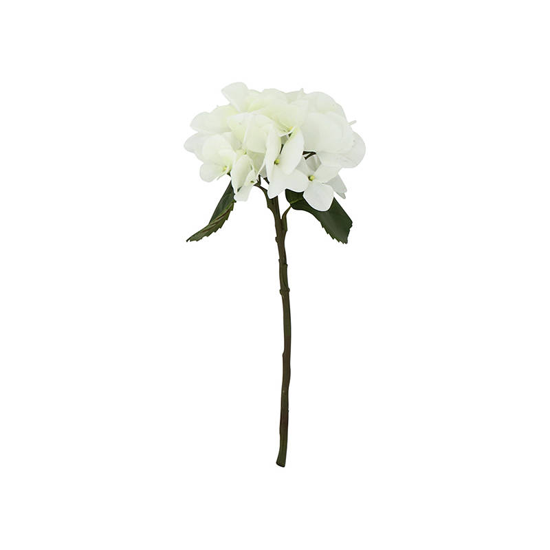 Hydrangea White Small